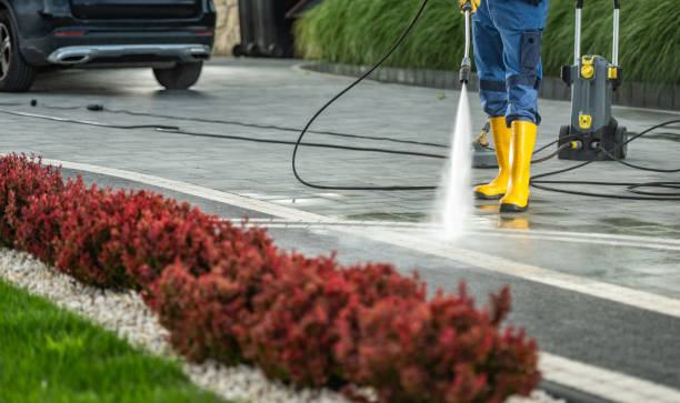 Best Patio and Deck Pressure Washing  in Bellport, NY